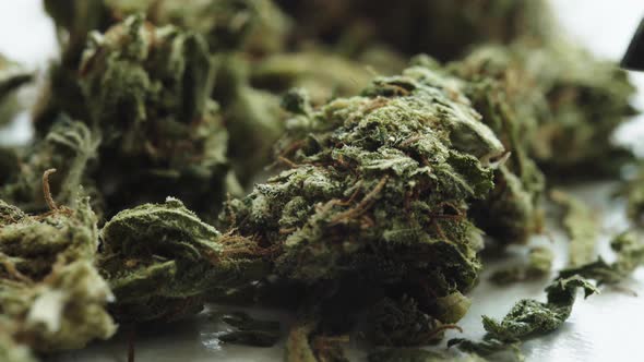 Marijuana. Cannabis. Hemp. Close-up. Weed