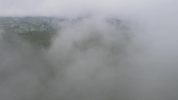 Aerial view of foggy mist tea plantation in Indonesia