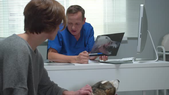 Vet Talks To Man with Husky and Shows X-ray of Dog, Slow Motion