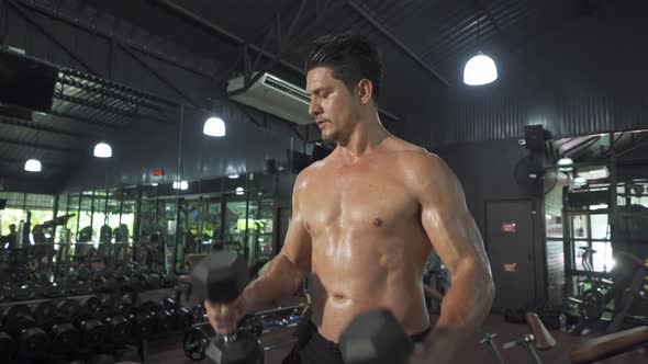 Portrait of strong caucasian man lifting dumbbells, doing exercise, working out, and training