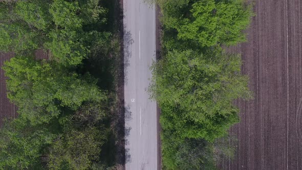 Grey Car Passes On The Road