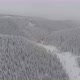 Forest Full of Snow  - VideoHive Item for Sale