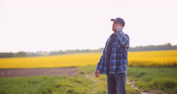 Farmer or Agronomist Walking on Agrculture Field and Looking at Crops