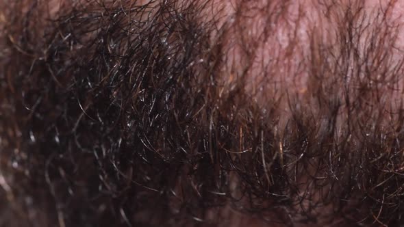 Close Up of a Beard on a Man's Face