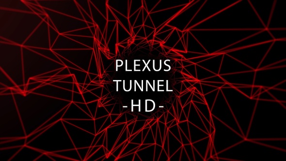 Plexus Tunnel