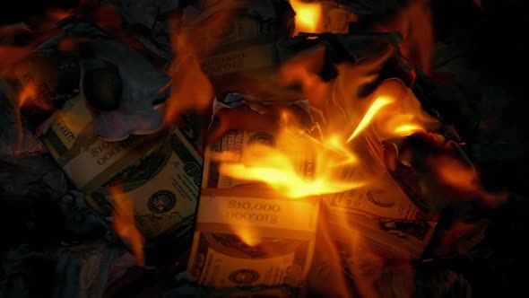 Pile Of Dollars On Fire