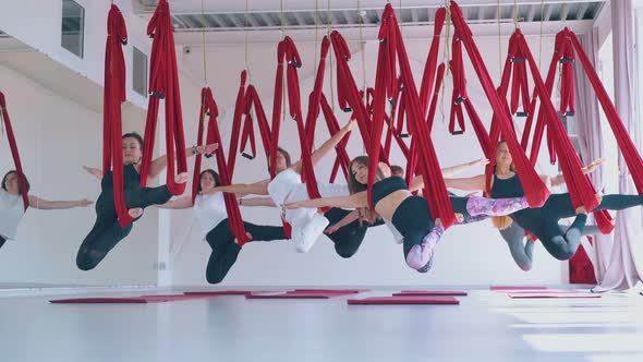 Oriental Fly Yoga Hammocks Hold Pretty Flexible Ladies