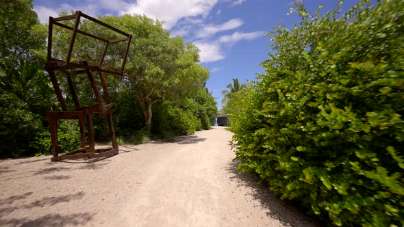 Nature Path Leading To Water 4k Motion Video