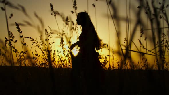 Joyful Female Enjoyng Summer Nature at Sundown