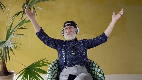 Bearded Retired Man which Sitting in Chair Near Yellow Wall with Palm Tree