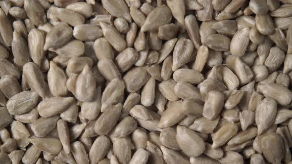 Sunflower Seeds as Food Background