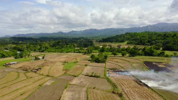 Farmers Burn Straw To Plow Rice Fields. Landscape with Agricultural Fields, Top View. Luzon