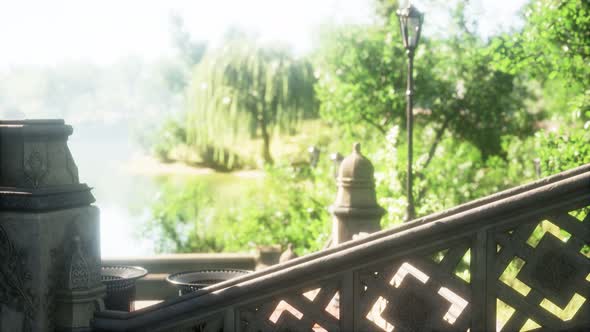 Tranquil Pond Framed By Lush Green Woodland Park in Sunshine