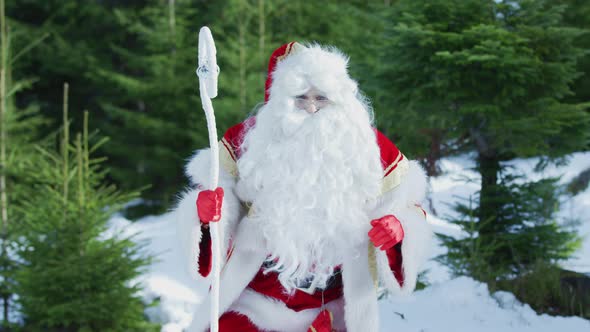 Santa Clause in the forest