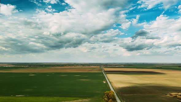 Countryside Rural Field Landscape With Young Wheat Sprouts In Spring Summer Cloudy Day