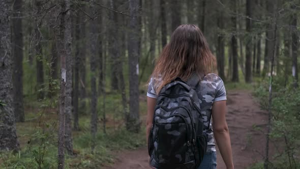Girl Traveler with a Backpack Goes Through the Woods. Back View