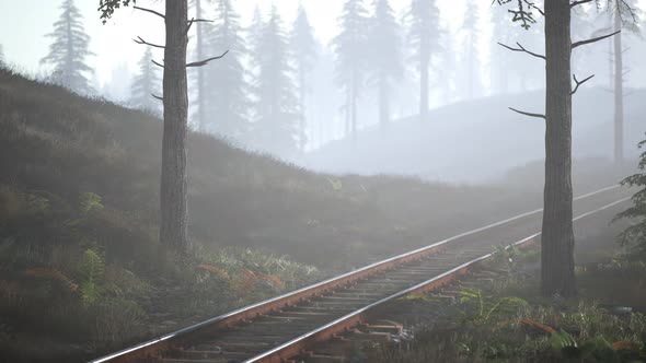 Empty Railway Goes Through Foggy Forest in Morning