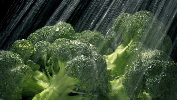 Broccoli Gets Washed In Water Spray
