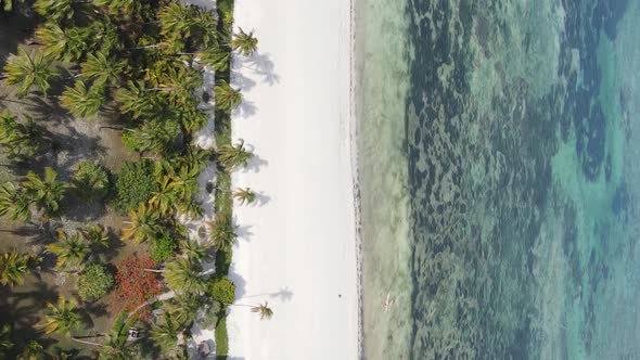 Vertical Video Boats in the Ocean Near the Coast of Zanzibar Tanzania Aerial View