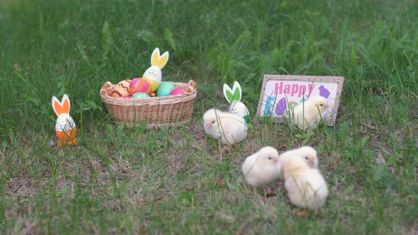 Cute Chickens Walking on Grass Near Easter Eggs