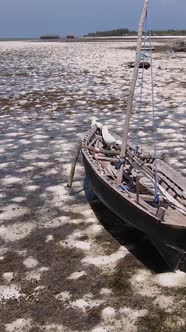 Vertical Video of Low Tide in the Ocean Near the Coast of Zanzibar Tanzania