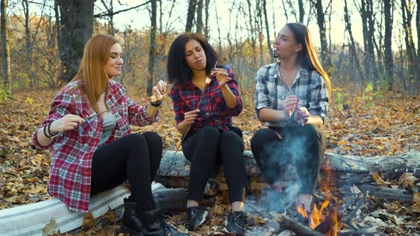 Girls eating roasted marshmallows by campfire in autumn forest