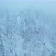 Flying Over Winter Forest  - VideoHive Item for Sale