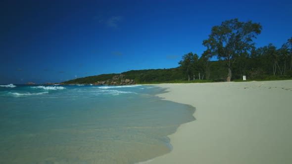 Hovering Above Wet Sandy Beach