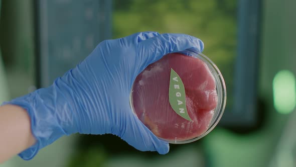 Vertical Video Closeup of Chemist Holding in Hands Vegan Beef Meat Sample