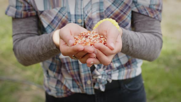 Young Farmer Girl Holds Corn Seeds in Her Hand in the Countryside