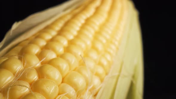 Zoom in macro video of fresh corn. Shot with RED helium camera in 8K