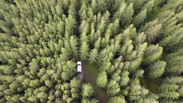 White Suv Rides On A Mountainous Terrain On A Dirt Road In Trees. Aerial View. 