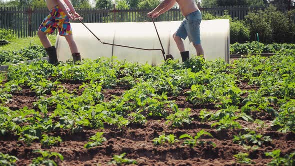 Dad and Son Working in Garden Plowing Ground Pulling Plow Preparing Soil