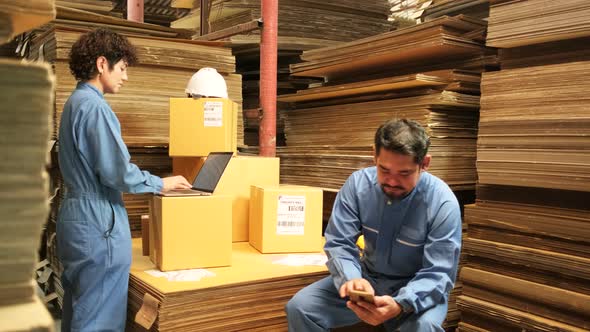 Two workers and colleagues check shipment orders stock at parcels warehouse.