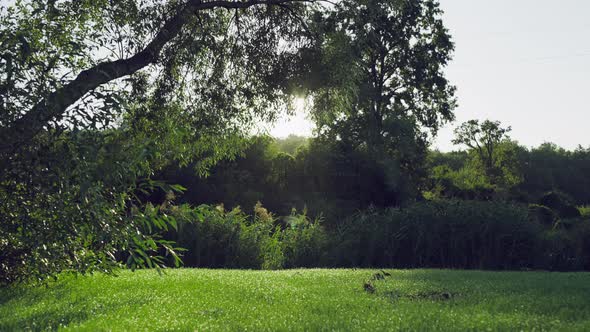 Cyclist Rides a Bike in a Beautiful Natural Landscape in the Morning