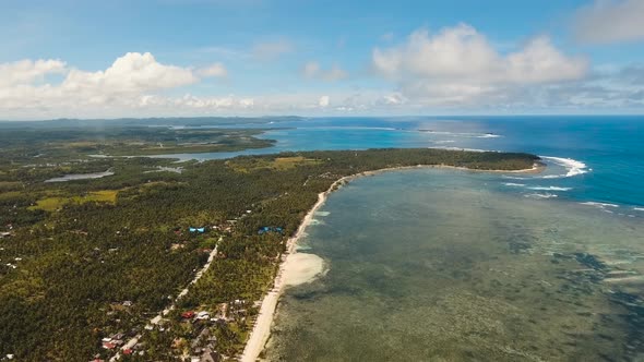 Tropical Beach with and Turquoise Sea