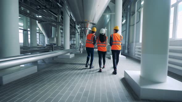 Three Technicians Are Walking Along the Distillery Premises