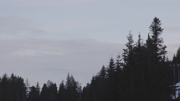 Colorful Sunset Over the Tree Top on the Mountain