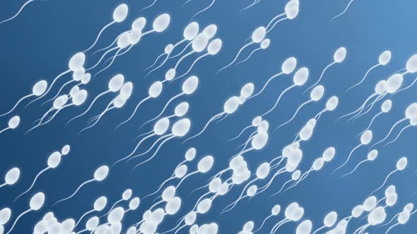 Sperm cells are moving on a blue background