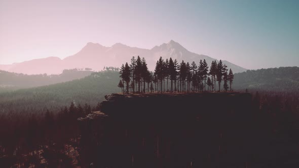 Misty Mountain Forest Landscape in the Morning