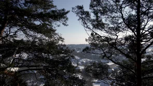 Aerial View Drone Flies Through Trees in the Winter Park Transition Use