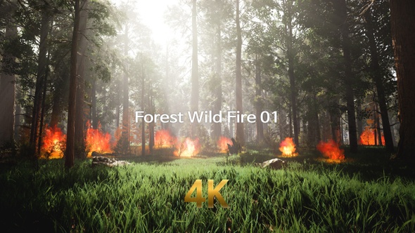 Forest Wild Fire 4K 01