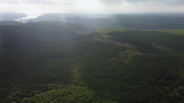 Valley Covered with Deciduous Forest Aerial View