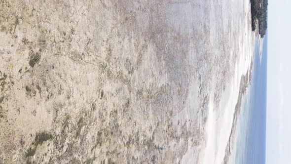 Vertical Video of Low Tide in the Ocean Near the Coast of Zanzibar Tanzania Aerial View