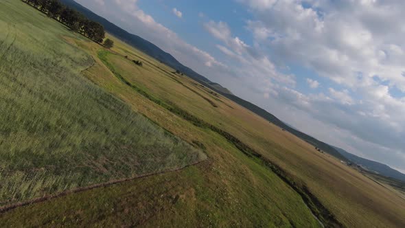 Flying Along the Green Meadow Close to the Grass and Foliage of the Trees