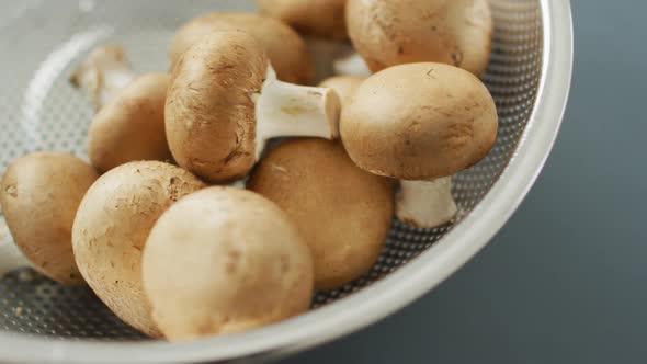 Video of close up of bowl of fresh mushrooms on grey background
