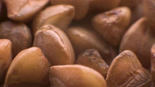 Dry Raw Brown Buckwheat Groats Rotate  Macro