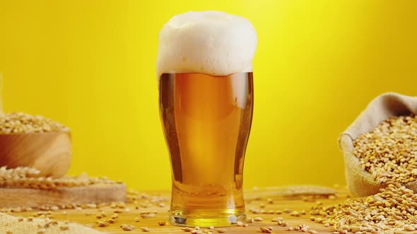 Foamy Beer in Glass Closeup