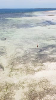 Vertical Video of Low Tide in the Ocean Near the Coast of Zanzibar Tanzania