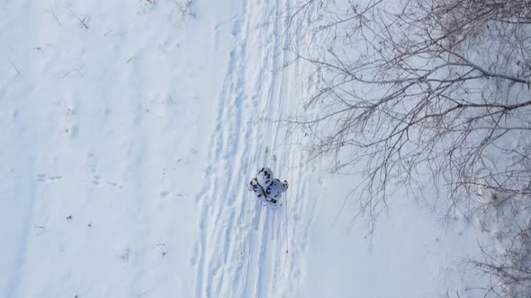 Skier Walks Through Winter Landscapes